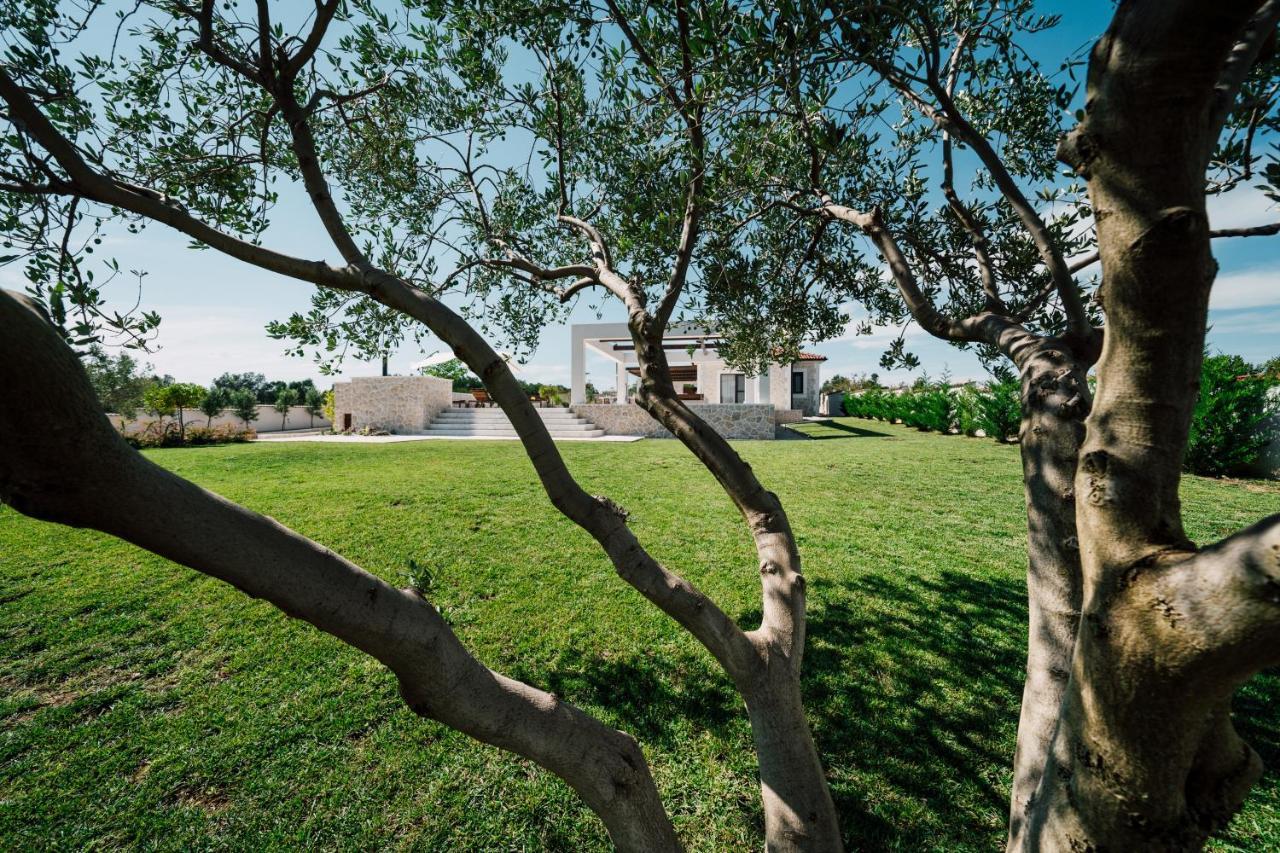 Villa Olivetum Zadar Zewnętrze zdjęcie